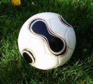 Fotbal (Liga II) Renunta Sageata Stejaru?  