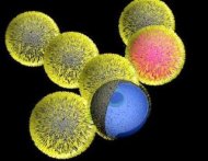 Sisteme de calcul care simuleaza puterea de procesare a creierului 