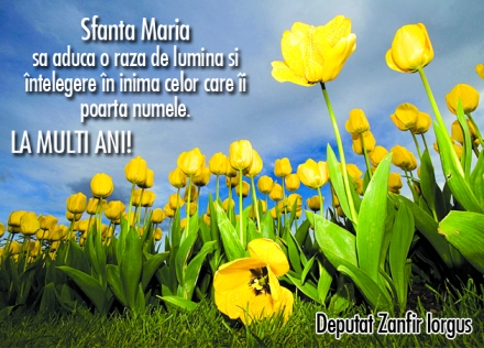 1_Zanfir.jpg 1_Zanfir.jpg