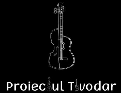 proiectul-tivodar.jpg