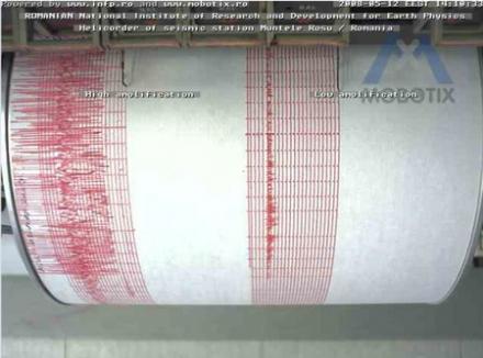 seismograf_live_delogo_ro.jpg