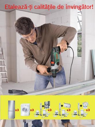 bosch2.jpg