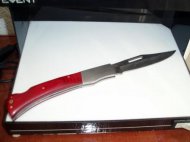 Jandarmii aplică legea la Palatul de Justiţie