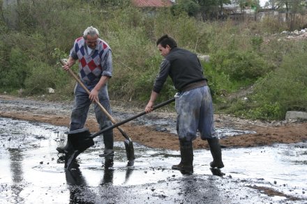 poluare cu combustibil galerie foto 79166 304204 poluare cu combustibil galerie foto 79166 304204