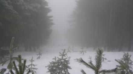 niebla_guadarrama_38895900.jpg
