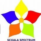 Gradinita Constanta - Spectrum