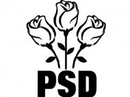 Cine a cotizat la PSD de la Constanţa