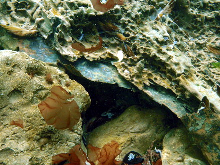 secretele marii epava descoperita de black sea wreck divers ar putea fi scoasa la suprafata galerie foto secretele marii epava descoperita de black sea wreck divers ar putea fi scoasa la suprafata galerie foto