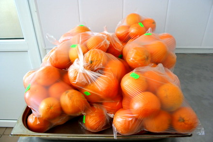 masa traditionala de florii pentru bolnavii de la spitalul de urgenta si de la sbi galerie foto 74489 masa traditionala de florii pentru bolnavii de la spitalul de urgenta si de la sbi galerie foto 74489