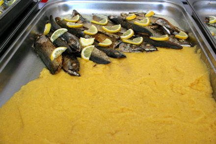 masa traditionala de florii pentru bolnavii de la spitalul de urgenta si de la sbi galerie foto 74489 masa traditionala de florii pentru bolnavii de la spitalul de urgenta si de la sbi galerie foto 74489