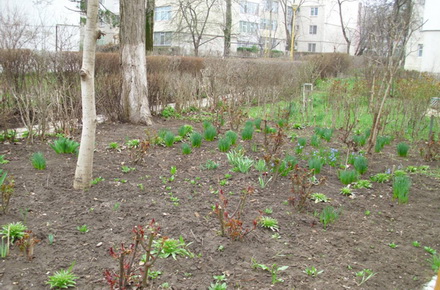 mare nostrum a desemnat castigatorii concursului cele sapte gradini ale constantei 54794 323198 mare nostrum a desemnat castigatorii concursului cele sapte gradini ale constantei 54794 323198