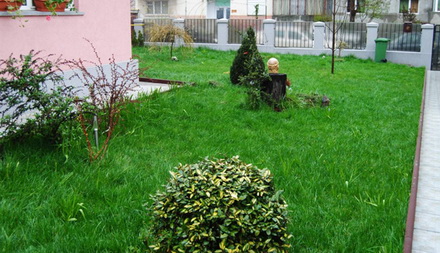 mare nostrum a desemnat castigatorii concursului cele sapte gradini ale constantei 54794 323198 mare nostrum a desemnat castigatorii concursului cele sapte gradini ale constantei 54794 323198