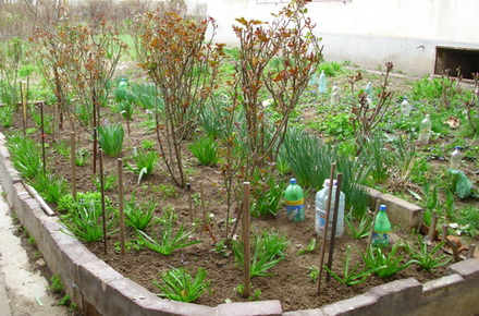 mare nostrum a desemnat castigatorii concursului cele sapte gradini ale constantei 54794 323198 mare nostrum a desemnat castigatorii concursului cele sapte gradini ale constantei 54794 323198