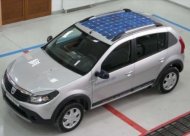 Hamster - deocamdată doar şobolan de laborator