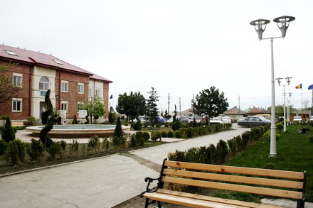 Proces_primaria_ovidiu.jpg