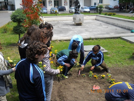 cnmb constanta saptamana voluntariatului 84015 325596 cnmb constanta saptamana voluntariatului 84015 325596