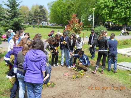cnmb constanta saptamana voluntariatului 84015 325596 cnmb constanta saptamana voluntariatului 84015 325596