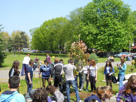cnmb constanta saptamana voluntariatului 84015 325596 cnmb constanta saptamana voluntariatului 84015 325596