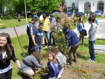 cnmb constanta saptamana voluntariatului 84015 325596 cnmb constanta saptamana voluntariatului 84015 325596