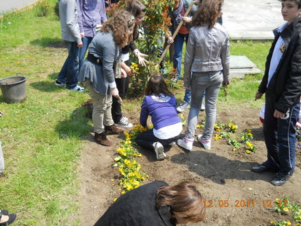 cnmb constanta saptamana voluntariatului 84015 325596 cnmb constanta saptamana voluntariatului 84015 325596