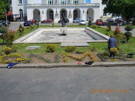 cnmb constanta saptamana voluntariatului 84015 325596 cnmb constanta saptamana voluntariatului 84015 325596