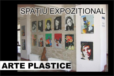 muzica dans si arta plastica la colegiul national de arte regina maria galerie foto 45250 328844 muzica dans si arta plastica la colegiul national de arte regina maria galerie foto 45250 328844