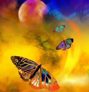 butterfly-expansion-292x300.jpg