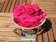 Dulceata de trandafiri - Secretul Afroditei - reteta