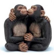 Mersul bărbaţilor la femei