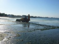 Inca 150 de tone de alge au fost stranse noaptea trecuta de ABADL