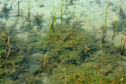 fantanile arteziene din mamaia parloage cu potential imobiliar galerie foto 20832 332253 fantanile arteziene din mamaia parloage cu potential imobiliar galerie foto 20832 332253