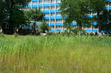 fantanile arteziene din mamaia parloage cu potential imobiliar galerie foto 20832 332253 fantanile arteziene din mamaia parloage cu potential imobiliar galerie foto 20832 332253