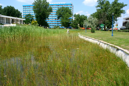 fantanile arteziene din mamaia parloage cu potential imobiliar galerie foto 20832 332253 fantanile arteziene din mamaia parloage cu potential imobiliar galerie foto 20832 332253