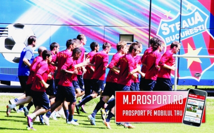 steaua-dd.jpg