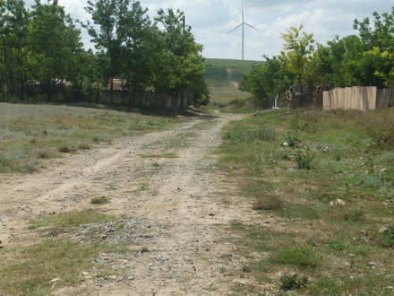 peisajul comunei campioane la bani de la cjc strazi cu buruieni canalizari fara capace si scoala din