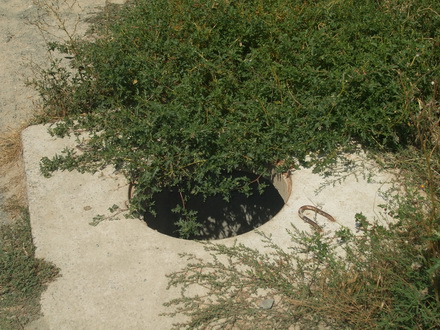 peisajul comunei campioane la bani de la cjc strazi cu buruieni canalizari fara capace si scoala din