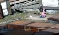 Atac şocant Un urs polar muşcă de cap o femeie chiar în curtea casei (video)