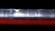 Fenomen incredibil Valuri de culoare albastru-neon în Pacific