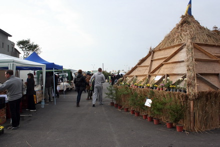 gospodinele si au aprovizionat camara zilele recoltei la navodari un real targ de toamna galerie foto gospodinele si au aprovizionat camara zilele recoltei la navodari un real targ de toamna galerie foto