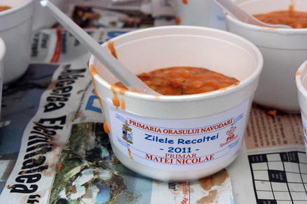 gospodinele si au aprovizionat camara zilele recoltei la navodari un real targ de toamna galerie foto gospodinele si au aprovizionat camara zilele recoltei la navodari un real targ de toamna galerie foto