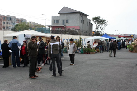 gospodinele si au aprovizionat camara zilele recoltei la navodari un real targ de toamna galerie foto gospodinele si au aprovizionat camara zilele recoltei la navodari un real targ de toamna galerie foto