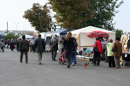 gospodinele si au aprovizionat camara zilele recoltei la navodari un real targ de toamna galerie foto gospodinele si au aprovizionat camara zilele recoltei la navodari un real targ de toamna galerie foto