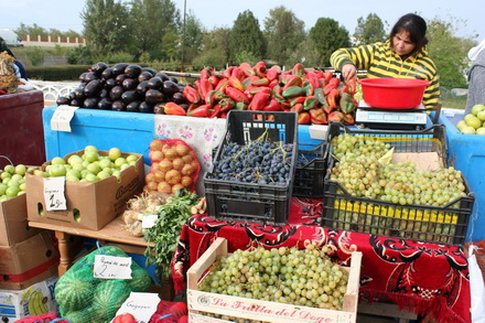 gospodinele si au aprovizionat camara zilele recoltei la navodari un real targ de toamna galerie foto gospodinele si au aprovizionat camara zilele recoltei la navodari un real targ de toamna galerie foto