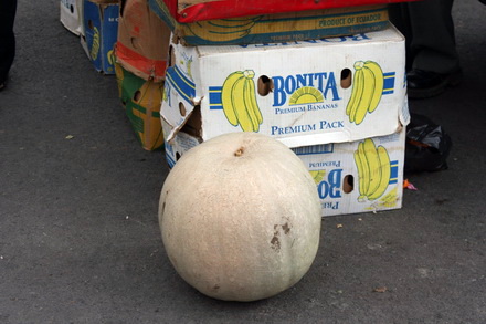 gospodinele si au aprovizionat camara zilele recoltei la navodari un real targ de toamna galerie foto gospodinele si au aprovizionat camara zilele recoltei la navodari un real targ de toamna galerie foto