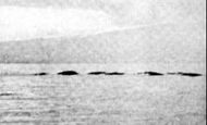 Monstrul din Loch Ness există... în Canada. 