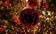 Fiecare se bucură în felul lui de apropierea Crăciunului Un american a fost arestat pentru decorarea casei unor străini