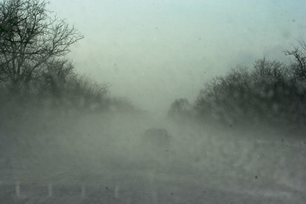 fotoreportaj iarna grea spre costinesti 83778 356756