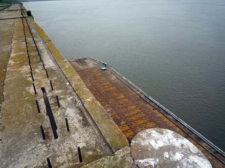 in dosarul portului turistic lipnita amuras pe post de iepuras prefectul palaz ataca mafia gulerelor in dosarul portului turistic lipnita amuras pe post de iepuras prefectul palaz ataca mafia gulerelor