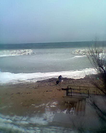 cine beneficiaza de groaznica furtuna de pe marelocalnicii din eforie au iesit la cules rapane galerie cine beneficiaza de groaznica furtuna de pe marelocalnicii din eforie au iesit la cules rapane galerie