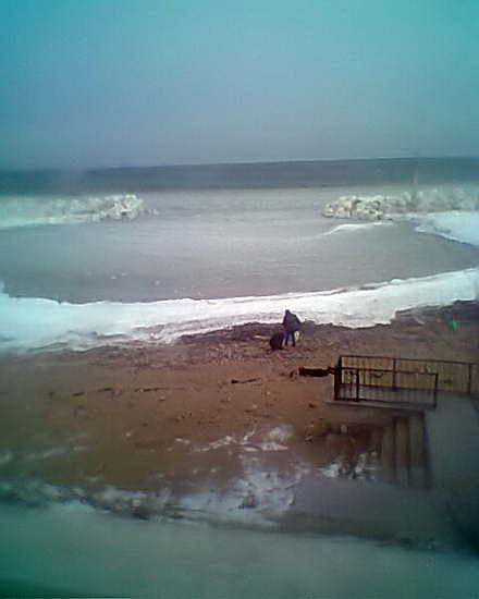 cine beneficiaza de groaznica furtuna de pe marelocalnicii din eforie au iesit la cules rapane galerie cine beneficiaza de groaznica furtuna de pe marelocalnicii din eforie au iesit la cules rapane galerie